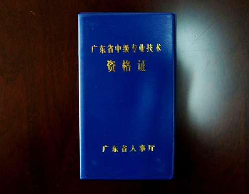 ä¸ä¸ææç±»ææ¯èµæ ¼è¯